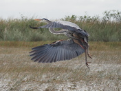 Everglades National Park