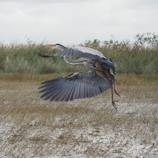 Everglades National Park