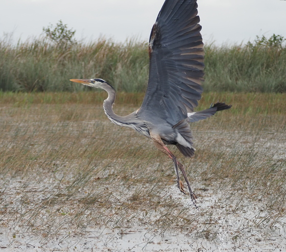 Everglades National Park