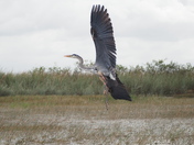 Everglades National Park