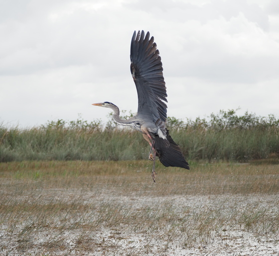 Everglades National Park