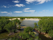 Ten Thousand Islands National Wildlife Refuge