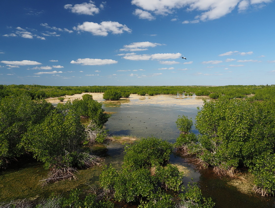 Ten Thousand Islands National Wildlife Refuge