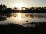 Everglades National Park