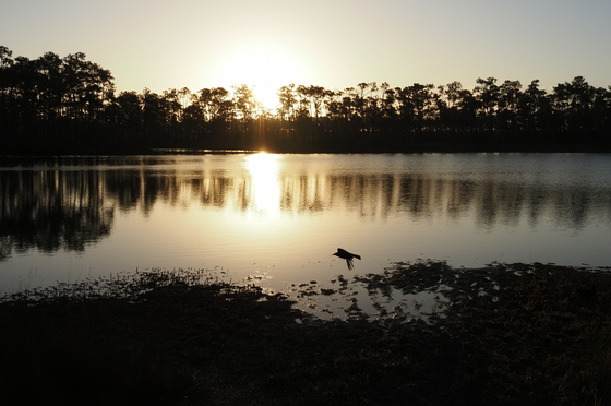 Everglades National Park