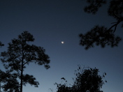 Everglades National Park