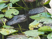 Everglades National Park
