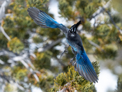 Rocky Mountain National Park