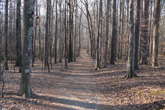 Kennesaw Mountain