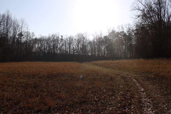 Kennesaw Mountain