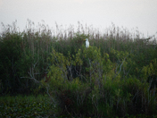 Everglades National Park