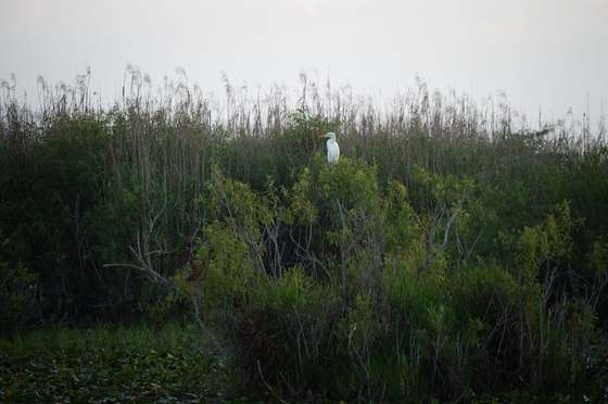 Everglades National Park