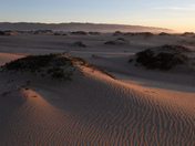 Guadalupe-Nipomo Dunes National Wildlife Refuge
