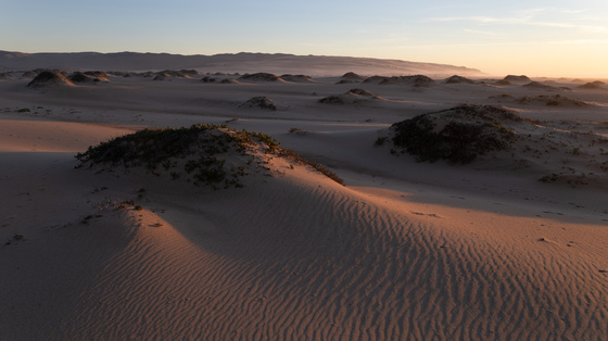 Guadalupe-Nipomo Dunes National Wildlife Refuge