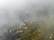 Los Padres National Forest