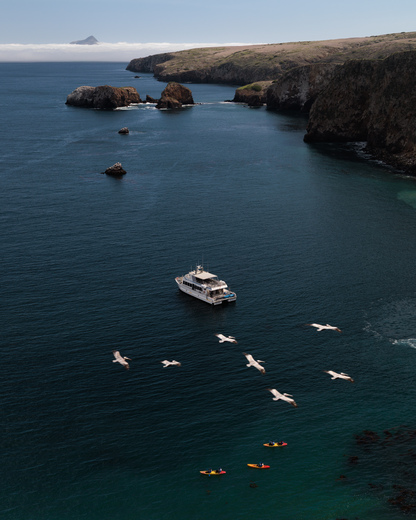 Channel Islands National Park