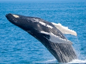 Cape Cod National Seashore