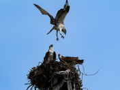 Cape Cod National Seashore