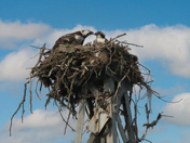 Cape Cod National Seashore