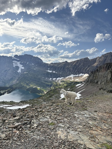 Glacier National Park