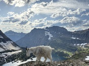 Glacier National Park