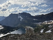 Glacier National Park