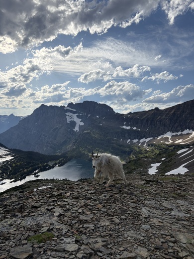 Glacier National Park