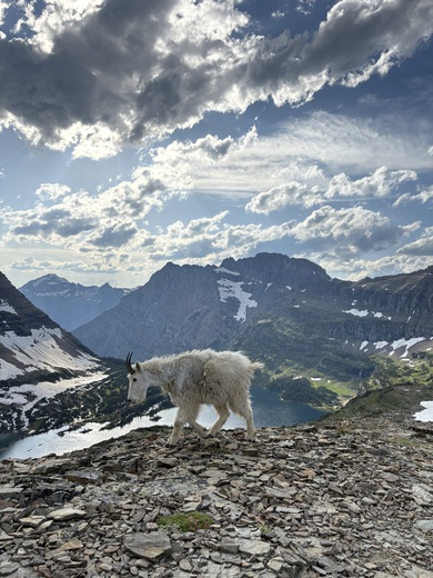 Glacier National Park