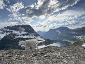 Glacier National Park