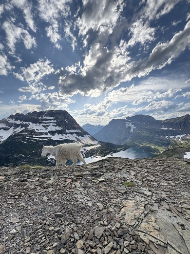 Glacier National Park