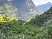 Glacier National Park