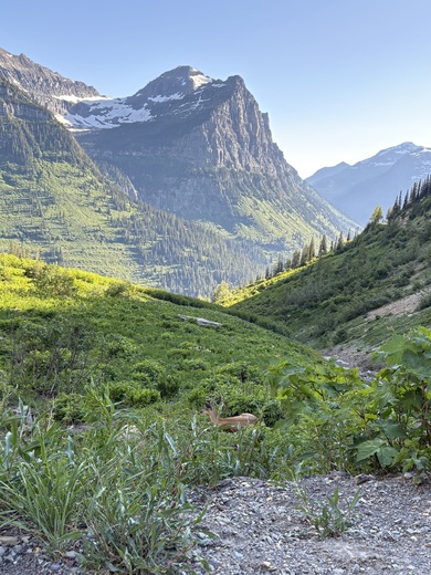 Glacier National Park