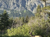 Glacier National Park