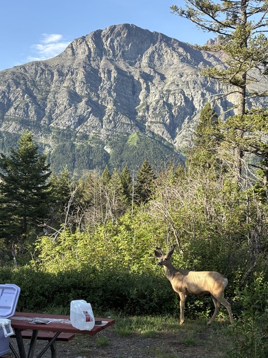 Glacier National Park