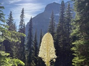 Glacier National Park