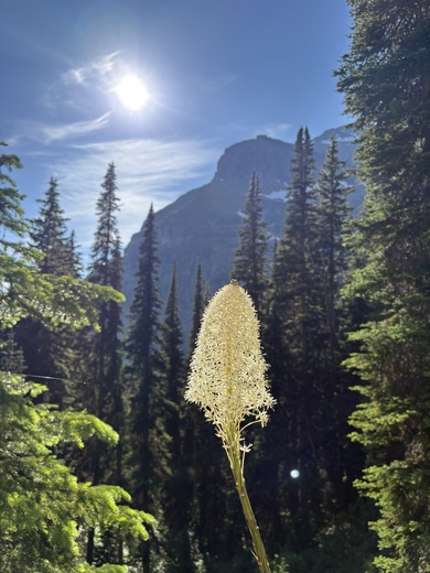 Glacier National Park