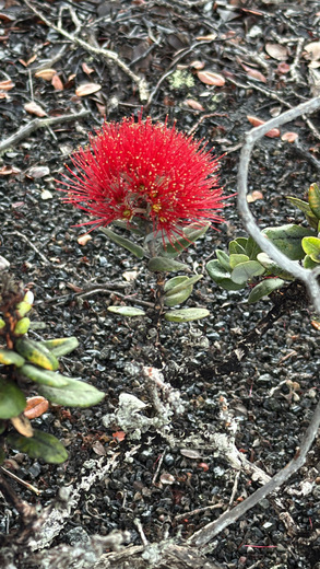 Hawaii Volcanoes National Park