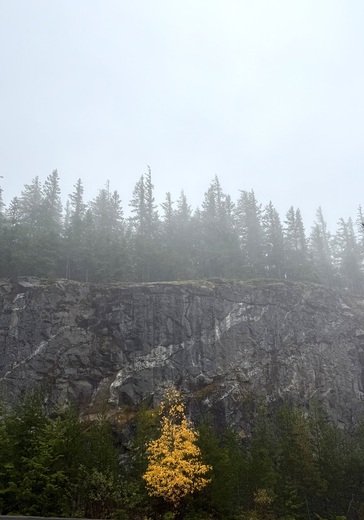 Ross Lake National Recreation Area