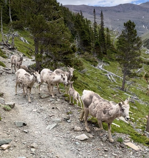 Glacier National Park