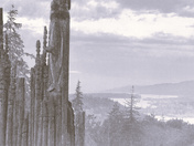 Burnaby Mountain Totems, black and white