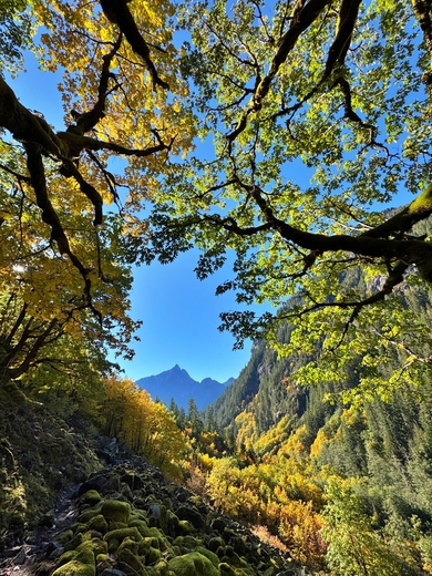 Perry Creek Trail, Mount Baker-Snoqualmie National Forest
