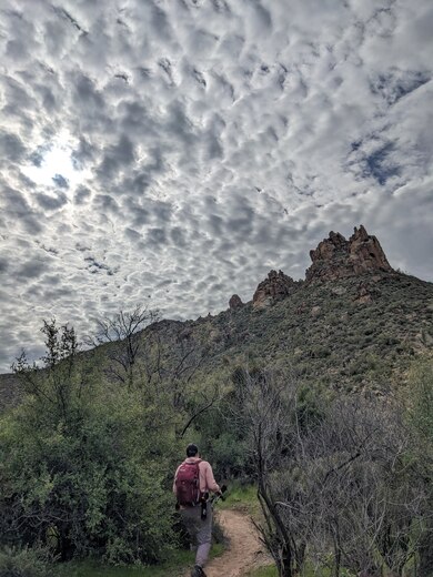 Tonto National Forest