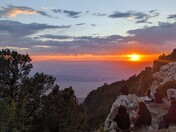 Cibola National Forest