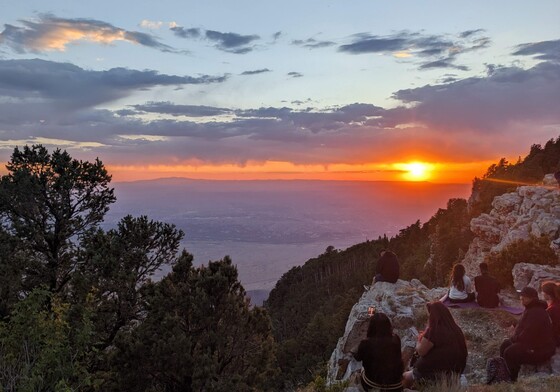 Cibola National Forest