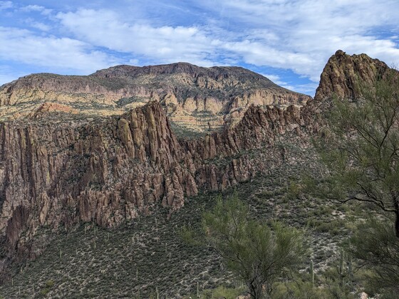 Tonto National Forest