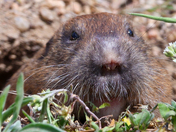 Rocky Mountain National Park