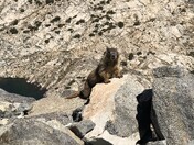 Kings Canyon National Park