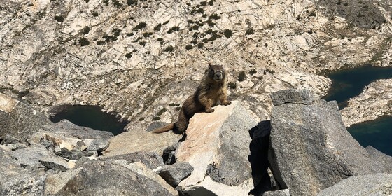 Kings Canyon National Park