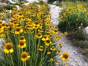 Kings Canyon National Park