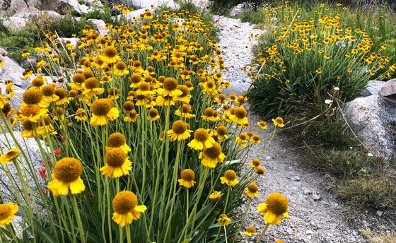 Kings Canyon National Park